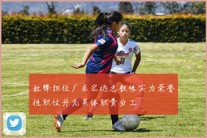 杜锋担任广东宏远总教练实为荣誉性职位并无具体职责分工